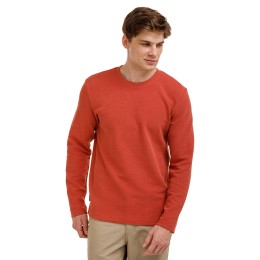 BUSHMAN Herren-T-Shirt Vigold aus Baumwolle, terracotta